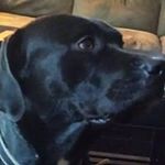 Charles Pate - @pate.charles - Instagram