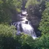 charlespate282 - @charlespate282 - TikTok