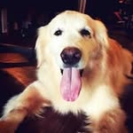 Charles Peng - @charlespongpeichung - Instagram
