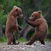 Charles Perdue - Facebook