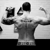 charlie.perrone - @charlie.perrone - TikTok