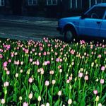 Charles Petit - @charlespetitphotographer - Instagram