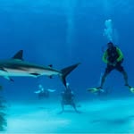 Charles Peyton - @charlespeyton467 - Instagram