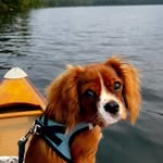 @pippinthekingcharles - Instagram
