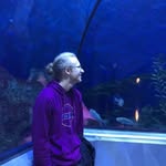 Charles-Auguste Plouffe - @charlesaugusteplouffe - Instagram