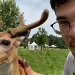 Charles Poulin - @charles_poulin36 - Instagram