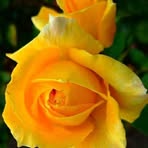Charles Prescott - Facebook
