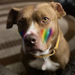 Charley Marie Presnell - @charleytheoneearedwonder2022 - Instagram
