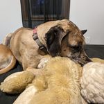 Charles Putnam - @sramantup - Instagram