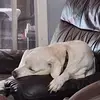 Charles Putnam - @charles.putnam6 - TikTok