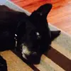 Charles Quigley - @charles.quigley8 - TikTok