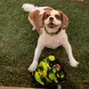 Charlie Quigley - @icharlie_thecav - TikTok