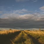 Charles Reilly - @charlesreilly514 - Instagram