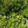 Charles Reilly - @charles.reilly24 - TikTok