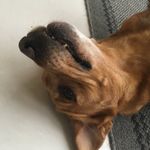 Charles Riddle - @charazi03 - Instagram