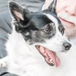 Charles Riddle - @riddle.charles - Instagram