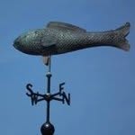 Charles Rios - @bassman356 - Instagram