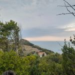 Charles Ripley - @charles_a_ripley - Instagram