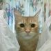 Charley Roark - Facebook