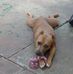 Charles Rodwell - Facebook