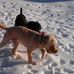 Chuck Rohrbaugh - Facebook