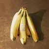 charlie_root - @charles.root - TikTok