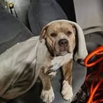 Charles Rothman - @auntielouisville - Instagram