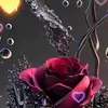Charles Royer - @charles.royer4 - TikTok