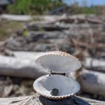 Charles Royer - @c_s_royer - Instagram