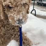 Charles Russo - @charles.russo.96780 - Instagram