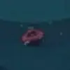 Charles_Alton - @charles_alton - TikTok
