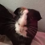 Charles Sams - @charles.sams - Instagram