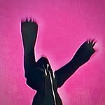 Charles Schaefer - @ymcharlie - Instagram