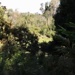 Charless Challange - @charlesschallange - Instagram