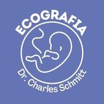 Charles Schmitt - @ecografia.drcharlesschmitt - Instagram