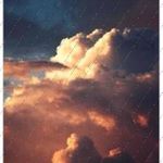 Meik Harders - @charlesschoenberg - Instagram