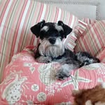charles scribner - @scribner3341 - Instagram