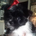Charles F. Seale - @charles.f.seale - Instagram