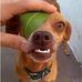 Charlie Shackleton - Facebook
