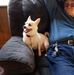 Charles Sharpe - Facebook