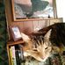 Chuck Shattuck - Facebook