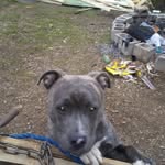 charles e siler jr. - @charlesesiler - Instagram