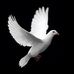 Charles Silkk - Facebook