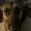 charlessilk4 - @charles.is.him5 - TikTok