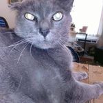 Charles A. Simmers - @kissealain - Instagram