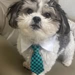 Charles Slaughter - @charlesslaughter0523 - Instagram