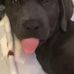 Charles Sledge - Facebook