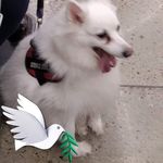 Charles Spellman - @charlesspellman - Instagram
