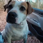 Charles Stacy Hutchinson - @cs.hutch.9 - Instagram