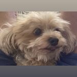 Chuck Charles Stamm - @chuck091153 - Instagram